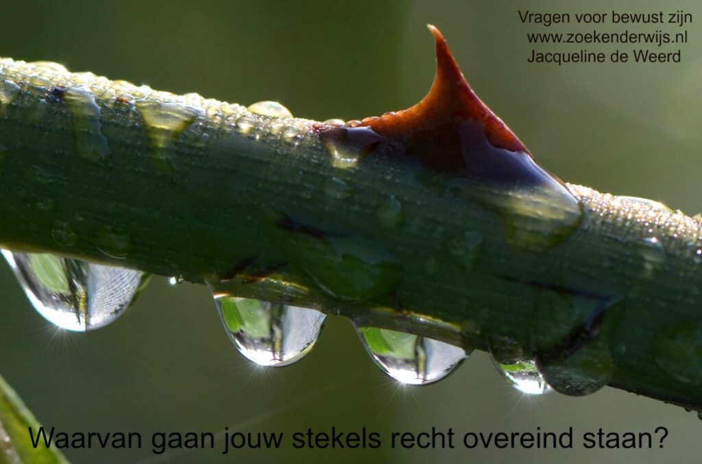 Hoe ergernissen jou veel kunnen leren over jezelf Hoe ergernissen jou veel kunnen leren over jezelf