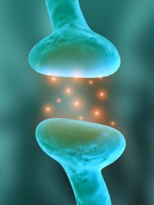 neuronen