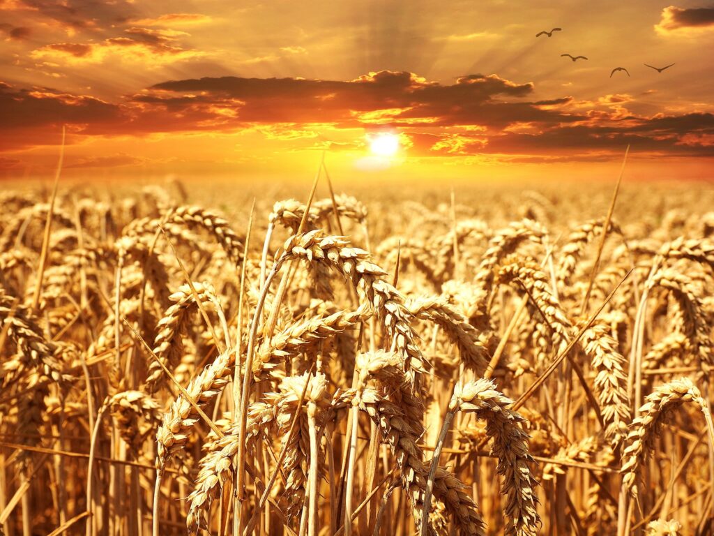 Het mag makkelijk gaan! Uit de zwaarte naar licht leven! Het mag makkelijk gaan! Uit de zwaarte naar licht leven!